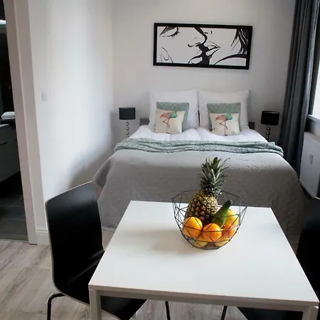 Apartament Brookwood Sniadeckich *