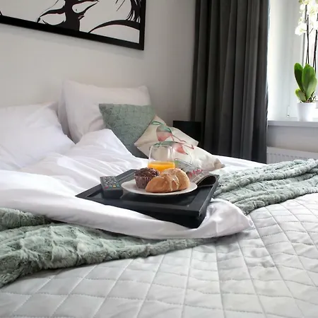 Brookwood Sniadeckich Apartament