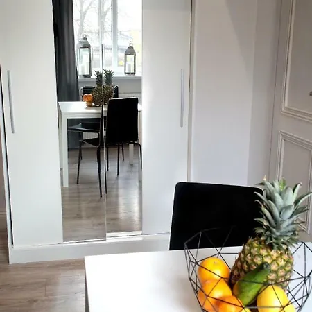 Apartament Brookwood Sniadeckich Poznań