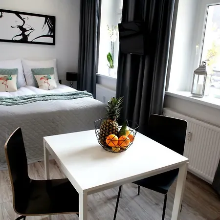 Apartament Brookwood Sniadeckich