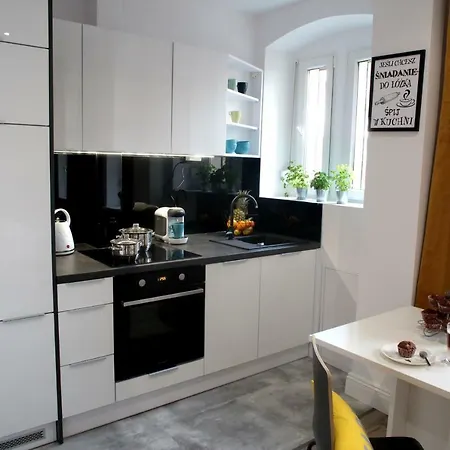 Apartament Brookwood Sniadeckich Poznań