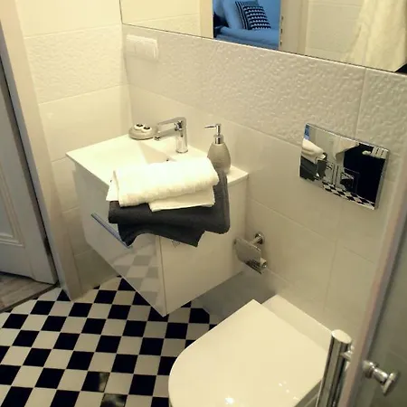 Brookwood Sniadeckich Apartament